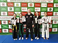 Спортсмены Канашского округа успешно прошли аттестацию по хапкидо (фото №6).