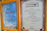 Среди победителей Республиканского конкурса «Новогодние фантазии» - Сугайкасинский СДК Канашского района (фото №2).