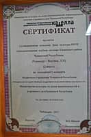 Среди победителей Республиканского конкурса «Новогодние фантазии» - Сугайкасинский СДК Канашского района (фото №3).