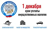 1 декабря истекает срок уплаты имущественных налогов физическими лицами.