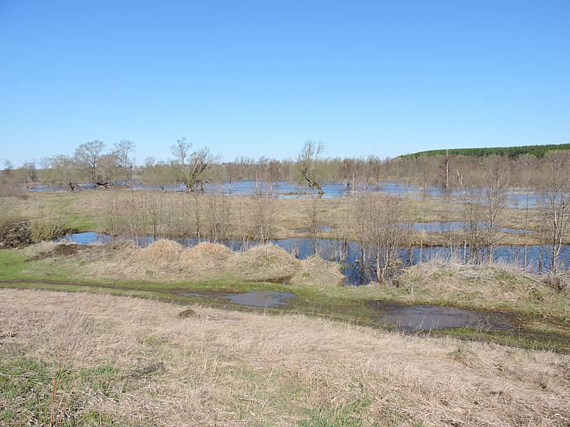 Срок весенней охоты на территории Чувашской Республики в 2017 году - с 15 по 24 апреля.