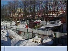 В столице республики разыскиваются подозреваемые в совершении хищения птиц из детского парка по улице Николаева.