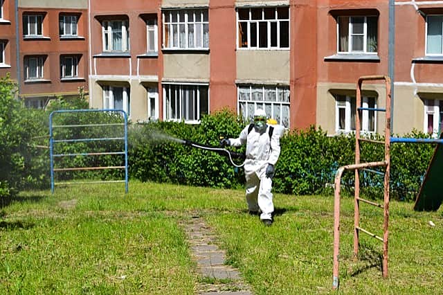 Стоп, комар! В Чебоксарах организовано массовое истребление кровососущих насекомых.