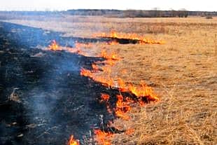 Сухая трава и баня горели в Канаше и Порецком районе ЧР.