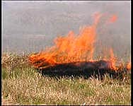 За сутки пожарные республики выезжали на тушение загораний 31 раз, из них 21 – на тушение сухой травы.