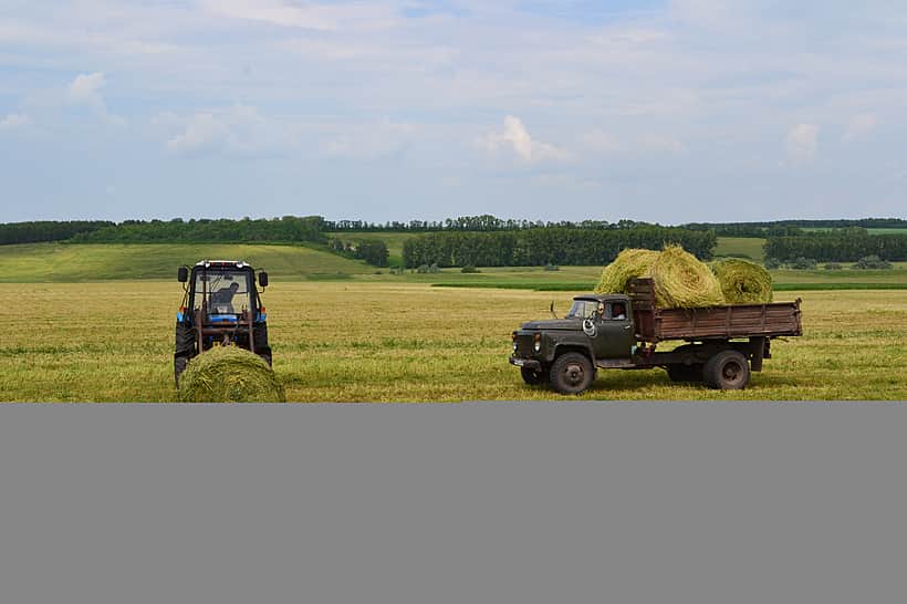 Своевременная заготовка кормов – залог продуктивности животных.