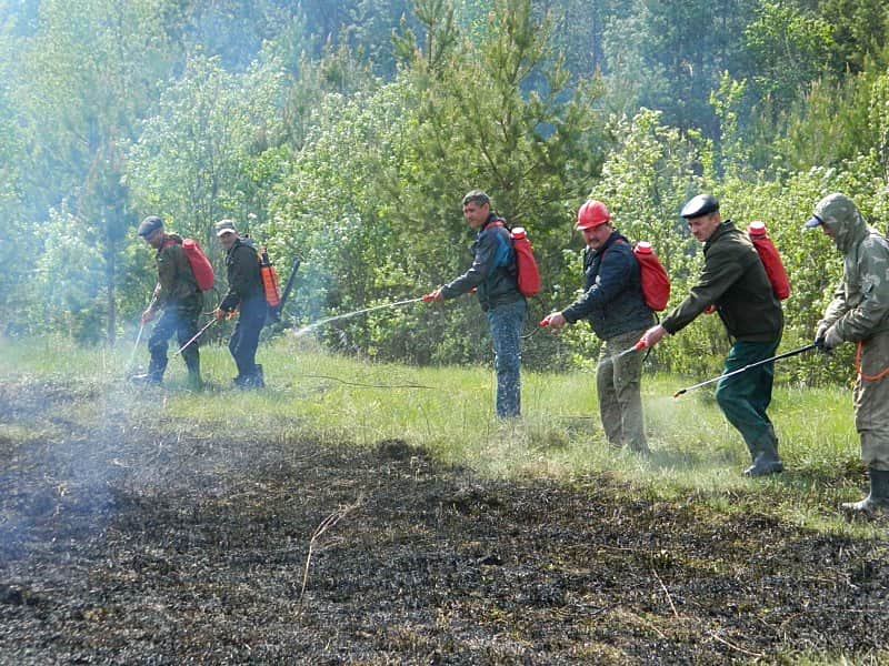 На территории Шихранского участкового лесничества КУ «Канашское лесничество» Минприроды Чувашии прошли тактико-специальные учения.