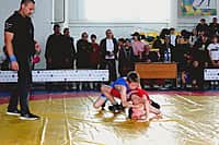 VIII республиканский турнир по спортивной борьбе прошёл в Канаше (фото №4).