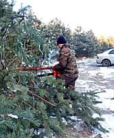 В деревне Туруново прошел трудовой день по очистке мест захоронений! (фото №2).