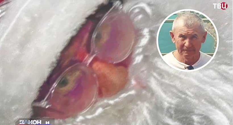 Сюжет о резонансном убийстве предпринимателя Ю. Суракина в Канаше показали на федеральном канале ТВЦ.