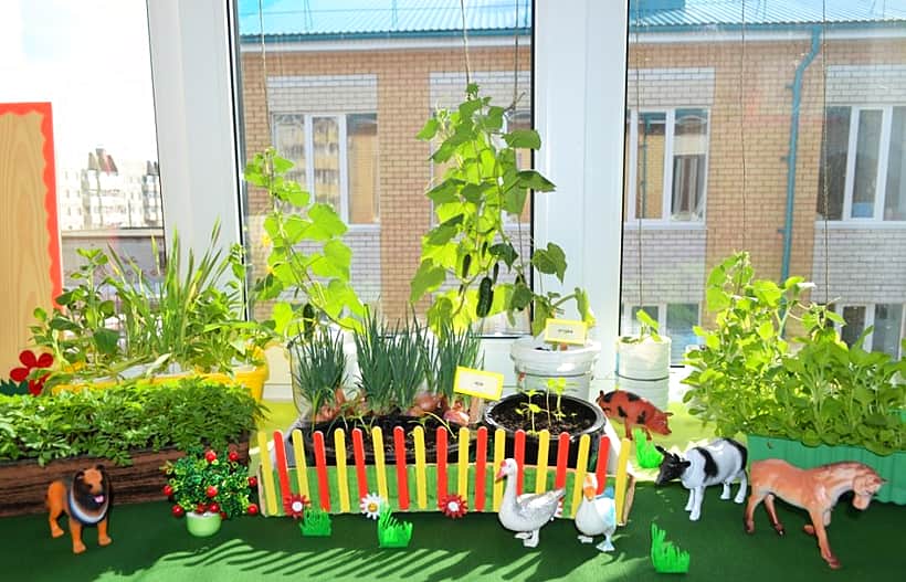 На улице ещё холодно, а на окнах детского сада №19 г. Канаш зазеленели «чудо – огороды».