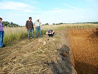Уникальная находка экскаваторщика в Канашском районе. При строительстве очистных сооружений найден бивень мамонта (фото №3).