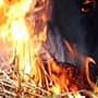 В д. Н. Урюмово Канашского района в результате поджога уничтожены 300 рулонов соломы.