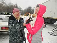 Ветеринарные врачи Канашской районной станции по борьбе с болезнями животных провели клинический осмотр цирковых животных Московского цирка-шапито (фото №2).