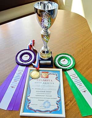 Впервые спортсменка из Чувашии стала призёром чемпионата России по конному спорту.