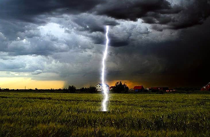 Как выпасать животных во время грозы?