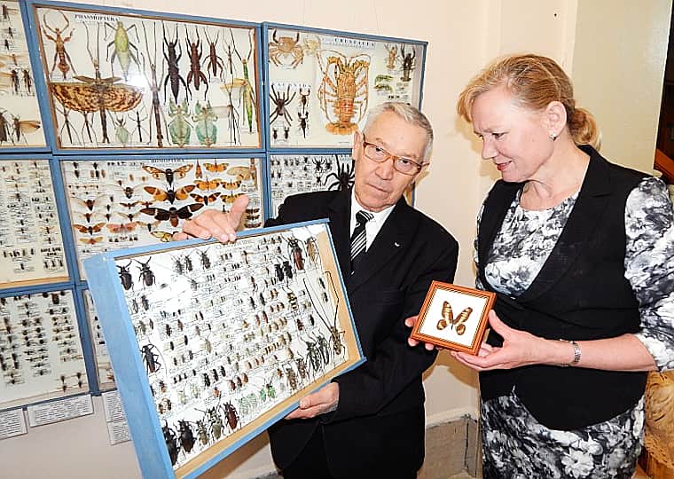 Выставка "Бабочки и жуки мира" в Канаше.