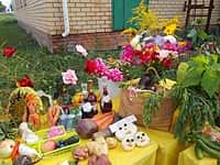 Выставка-ярмарка "Золотая осень - 2015" (фото №5).