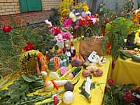 Выставка-ярмарка "Золотая осень - 2015" (фото №6).