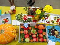 Выставка-ярмарка "Золотая осень - 2015" (фото №15).