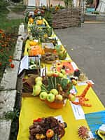 Выставка-ярмарка "Золотая осень - 2015" (фото №17).