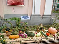 Выставка-ярмарка "Золотая осень - 2015" (фото №28).