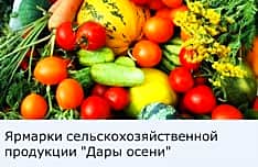 Ярмарки сельскохозяйственной продукции "Дары осени" в городах Чувашии.