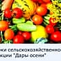 Ярмарки сельскохозяйственной продукции "Дары осени" в городах Чувашии.