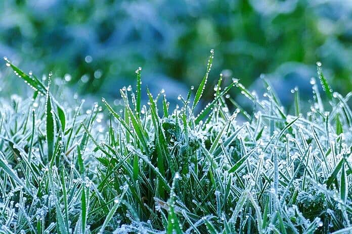 В Чувашии ударят заморозки.