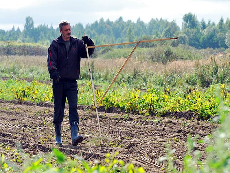 Заявки на Дальневосточный гектар подали 50 жителей Чувашии.