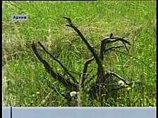 Чтобы земля "работала": у жителей Чувашии есть возможность передать неиспользуемые земли государству.