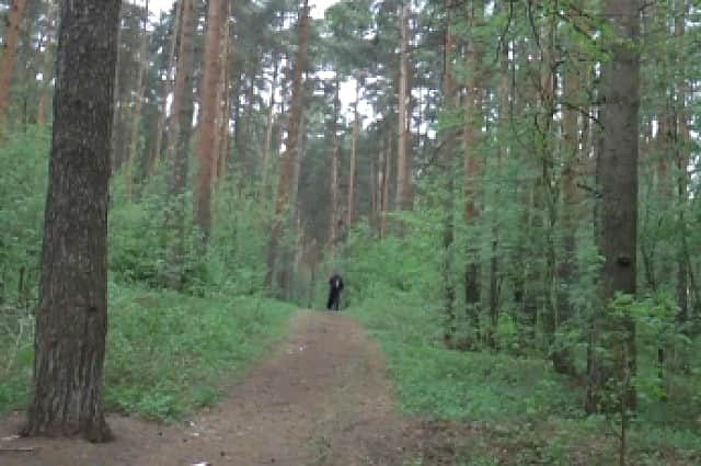 Житель Канаша заблудился в лесу пока искал грибы.