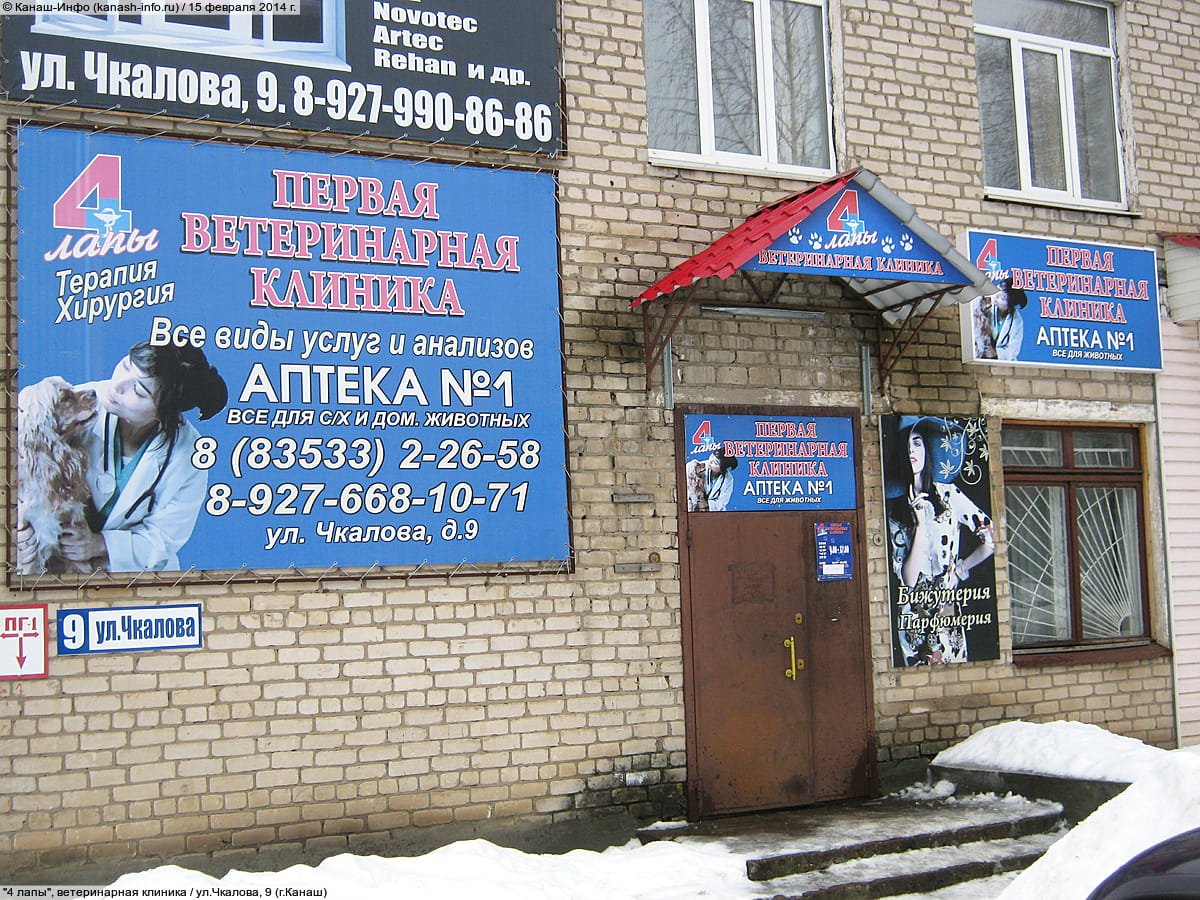 "4 лапы", ветеринарная клиника. 15 февраля 2014 (сб).