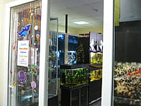 "АкваРай", зоомагазин. 18 января 2016 (пн).