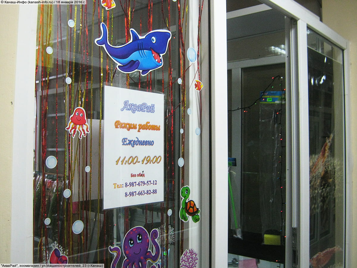 "АкваРай", зоомагазин. 18 января 2016 (пн).
