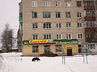 "Бакалея", магазин. 12 января 2014 (вс).