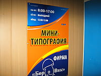 "Боровик", мини-типография. 26 марта 2015 (чт).