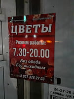 "Цветы", магазин. 27 декабря 2022 (вт).