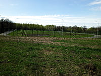 Футбольное поле. 25 апреля 2024 (чт).