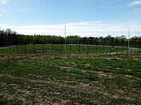 Футбольное поле. 25 апреля 2024 (чт).