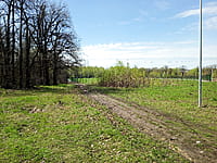 Футбольное поле. 25 апреля 2024 (чт).