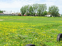 Футбольное поле. 26 мая 2015 (вт).