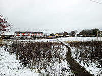 Футбольное поле. 01 ноября 2022 (вт).