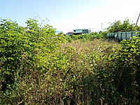 Индивидуальный жилой дом с участком. 01 сентября 2025 (пн).