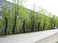 Улица Канашская (г. Канаш). 10 мая 2015 (вс).