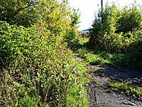 Административно-бытовое здание. 01 сентября 2025 (пн).