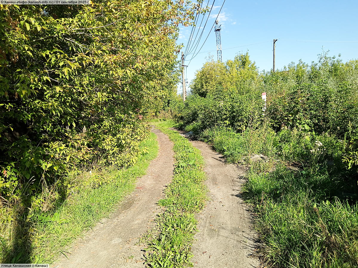 Улица Канашская . 01 сентября 2025 (пн).