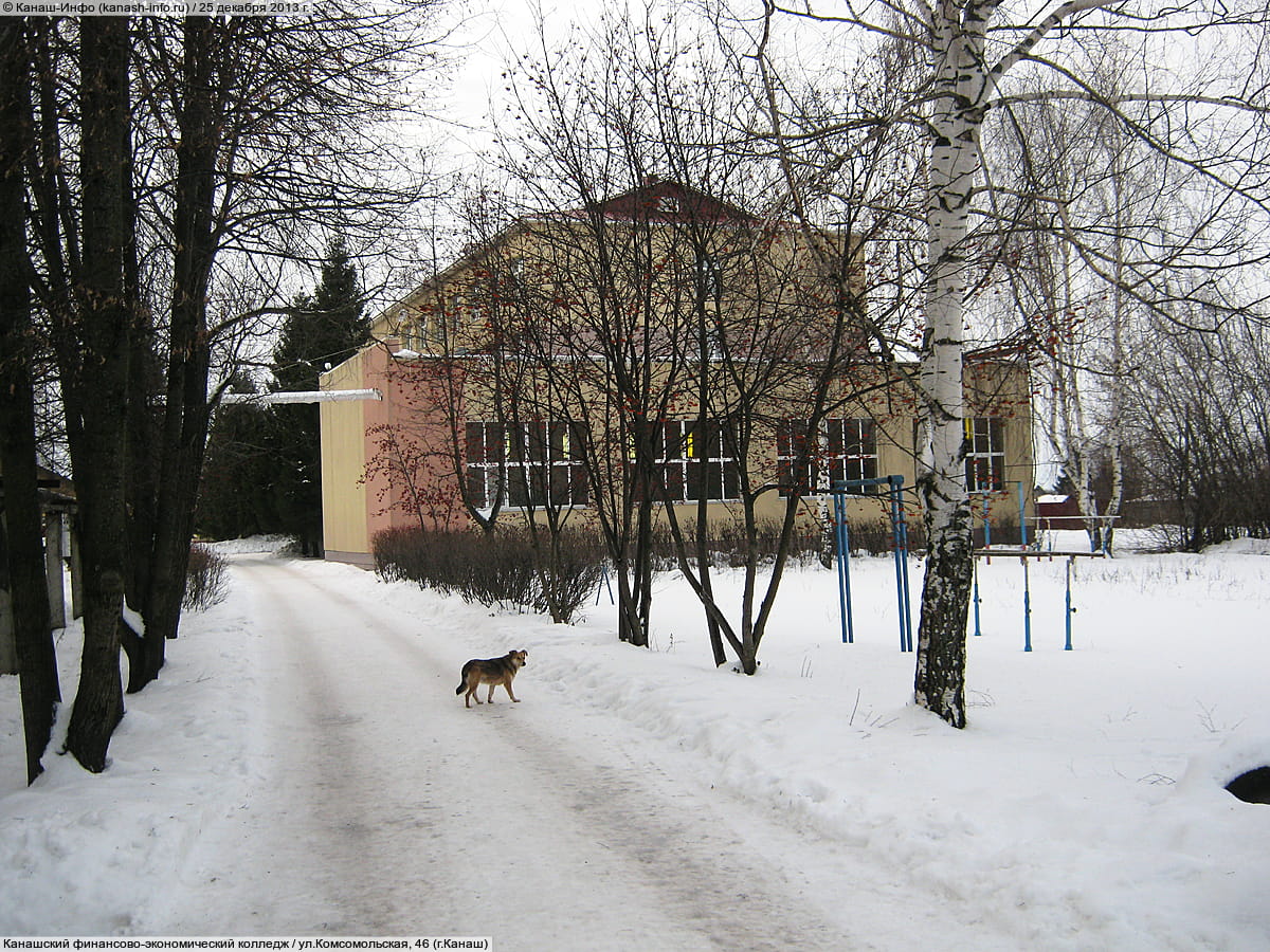 Канашский финансово-экономический колледж. 25 декабря 2013 (ср).