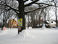 Каток. 04 января 2014 (сб).