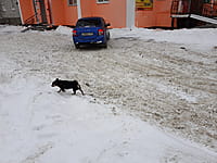 Многоквартирный жилой дом. 18 января 2022 (вт).